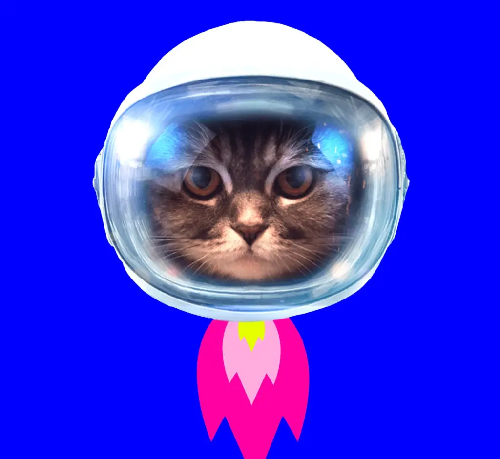 Schmitts Katze Website